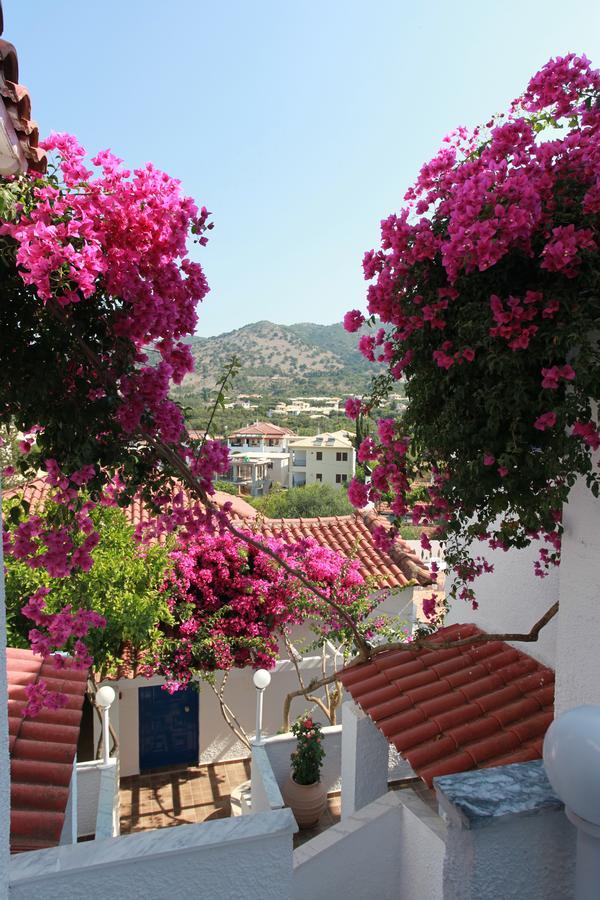 Hotel Elena Syvota 외부 사진