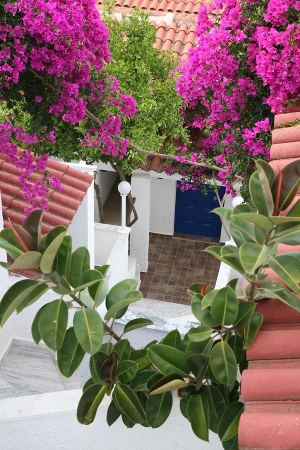 Hotel Elena Syvota 외부 사진